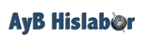 logo-hislabor-footer